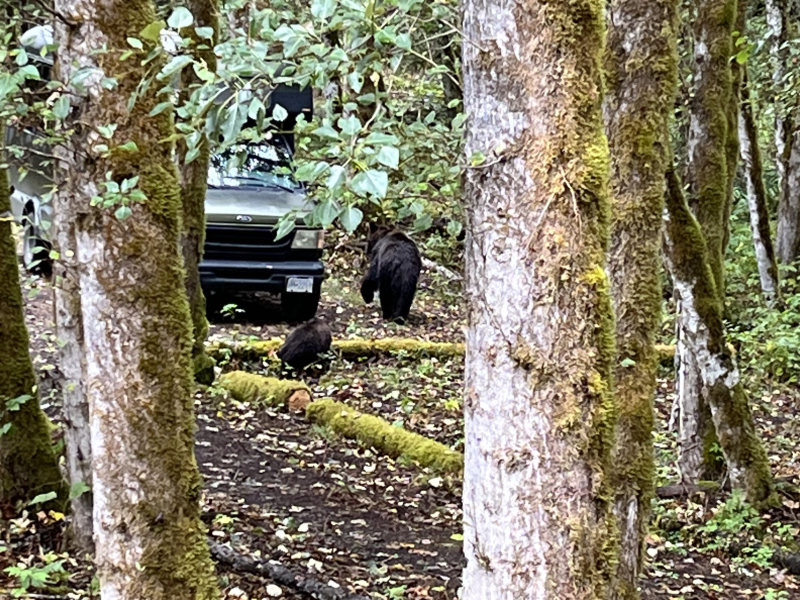 Vancouver/Rockies/Vancouver Island tips