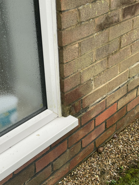 Dampness causing allergies? Unlikely to be mould.