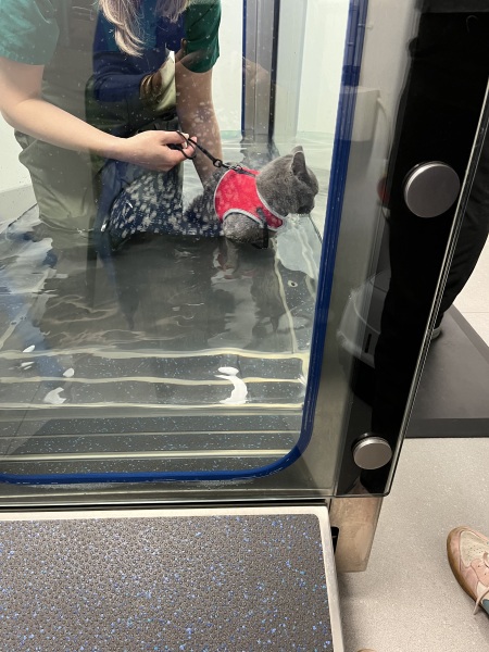 Finlay update - week 2 hydrotherapy