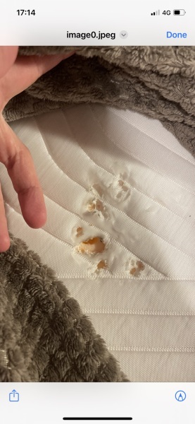 Help! Burnt a hole in temper mattress