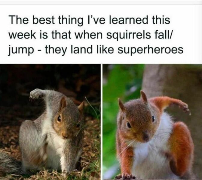 Brexit mega thread part 12: David Cameron: Return of the King