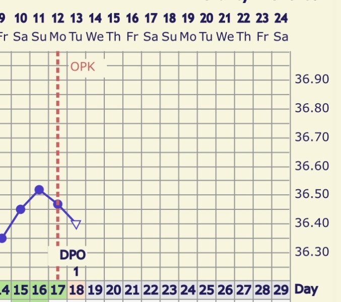 Anyone TTC Dec 2023…continued
