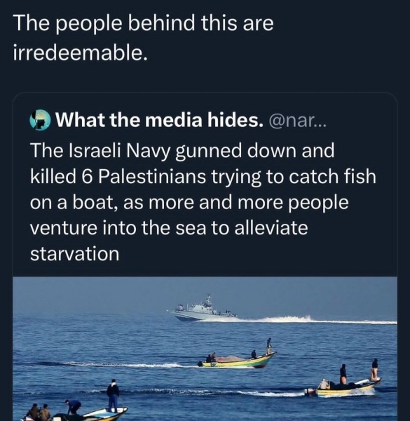 Documenting Israeli army racism and torture Thread 3