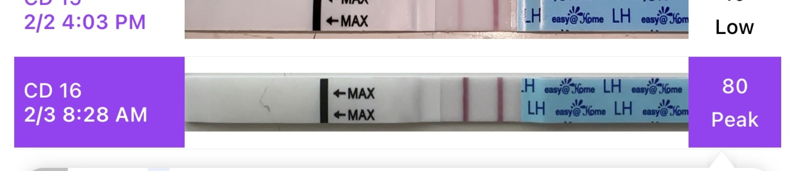 TTC February 2024 ✨