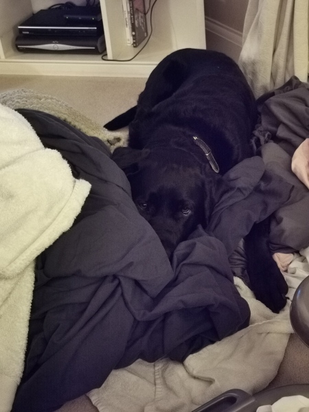 How much laundry do you have piled up?