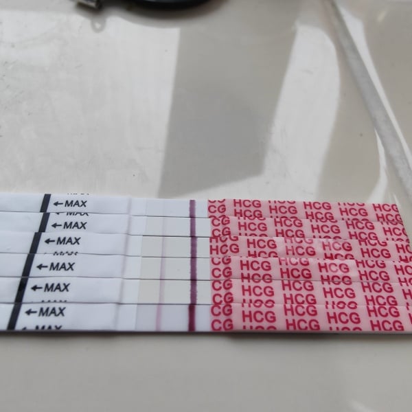 10-15dpo progression