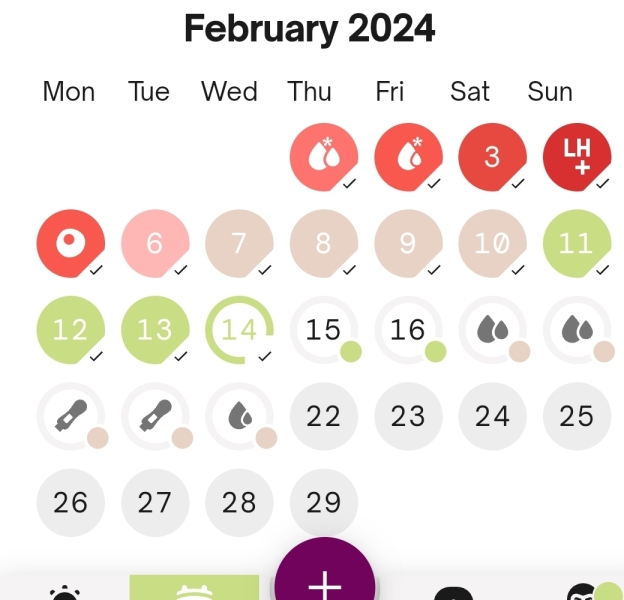 TTC February 2024 ✨