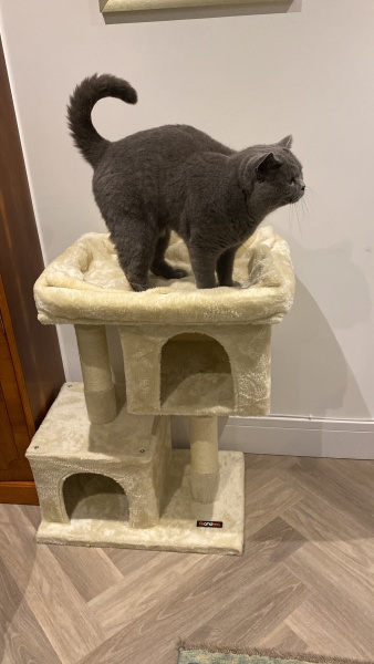 How much does your BSH weigh?