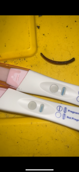 Bleeding light, got heavier then positive test? Help