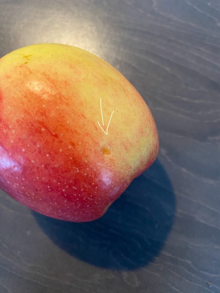 Thread 12 - TalkLair: “I say we take off and nuke the entire site from orbit. It's the only way to be sure.”