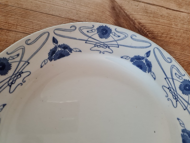 The Only True Dinner Plates Are White