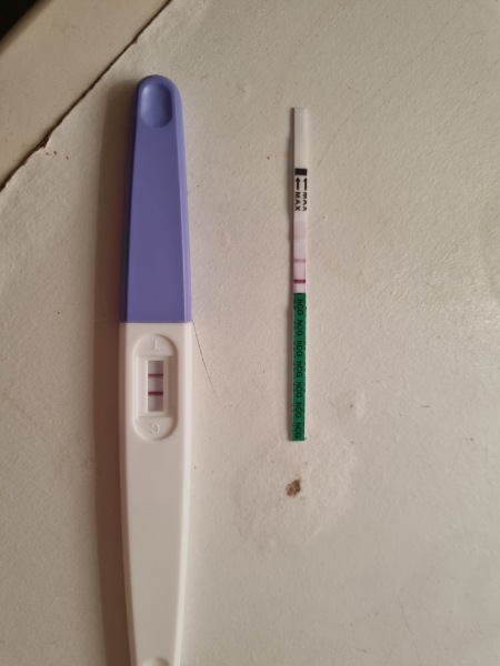 OCTOBER 2024 BABIES!