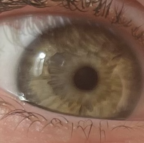 What colour