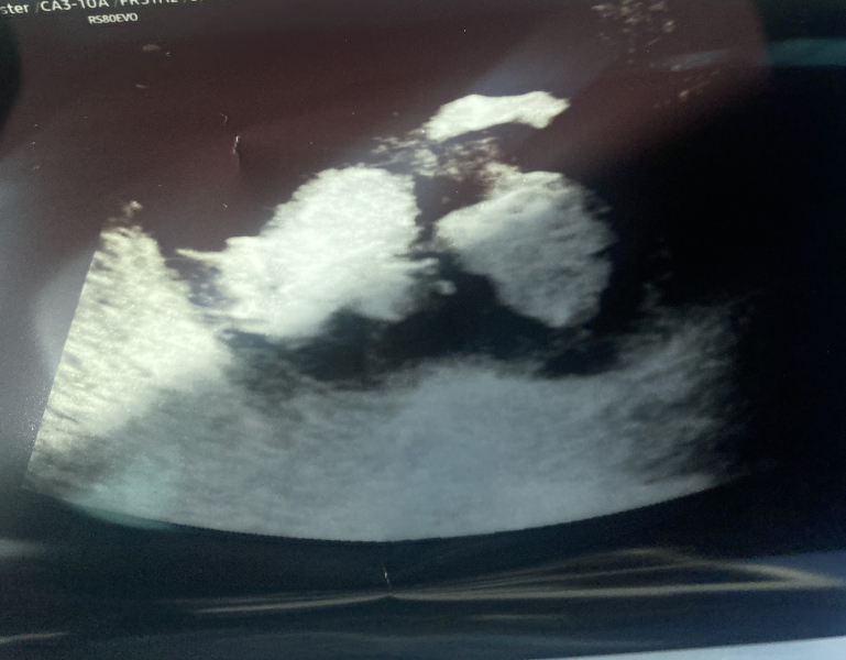 Due September 2024 PART 3 ❤️🩷💛💚💙💜