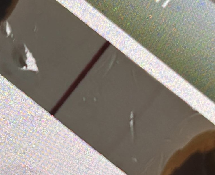 TTC February 2024 ✨