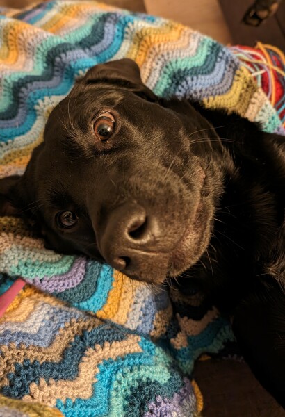 It's crochet,  knit and natter thread 11. So much yarn we need a yarn barn.