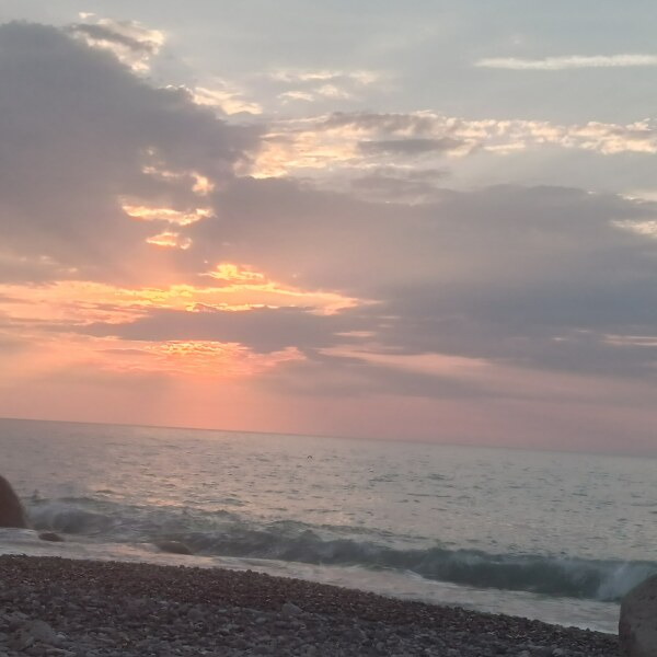 To want to live by the sea