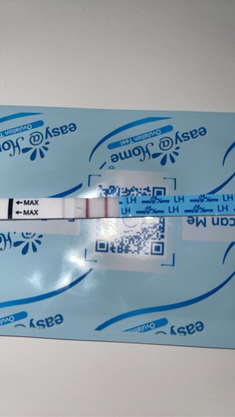 Just had my first positive OPK after a miscarriage 🤞