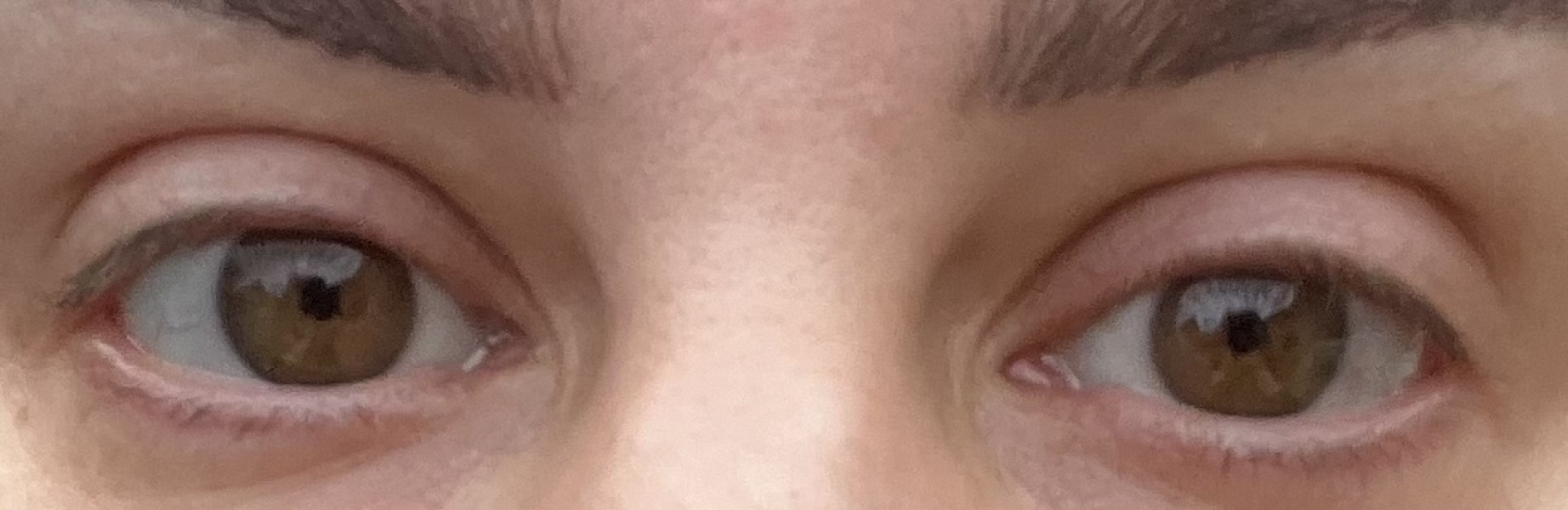 Hazel or Brown? Pic included