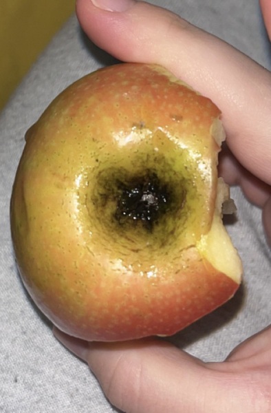 eating unwashed fruit??