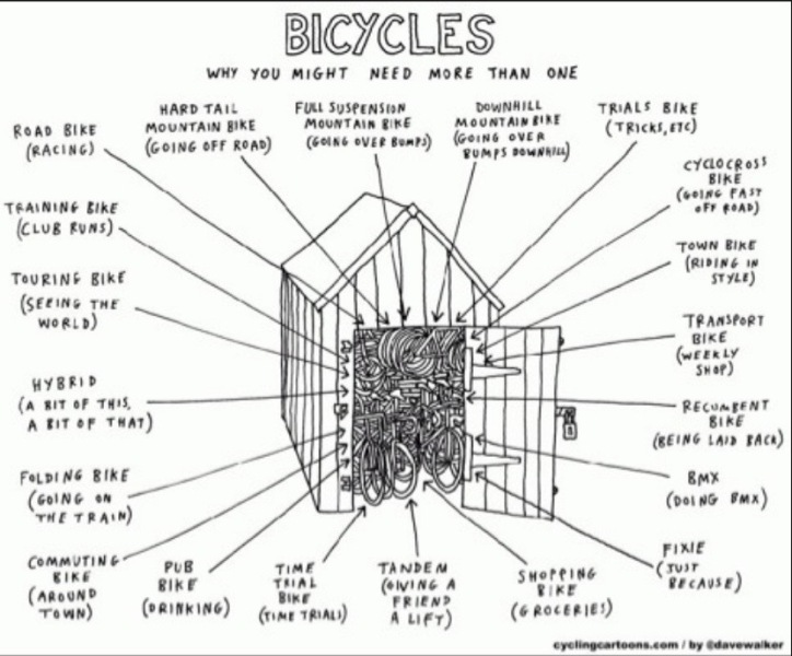 AIBU to think 2 bikes are enough?