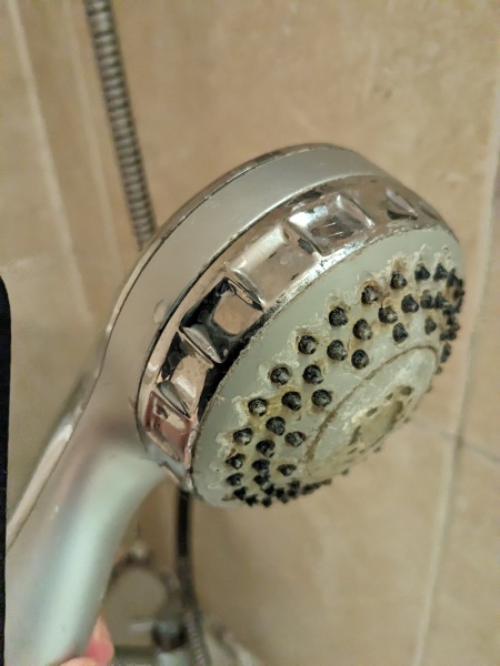 Pic included :how do I replace this please, shower hose