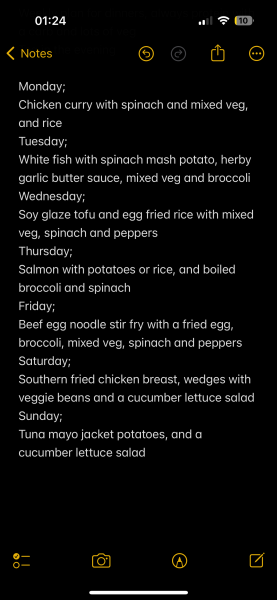 Is this a healthy meal plan?