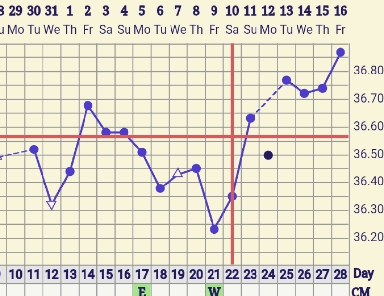 TWW and chart spotting 😅
