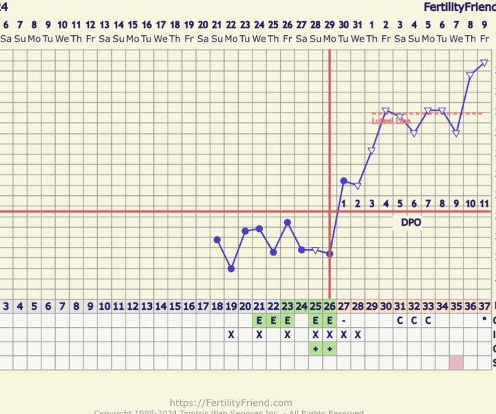 BBT chart/temp rise/spotting