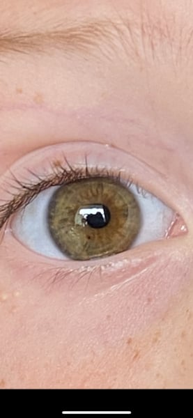 Hazel or Brown? Pic included