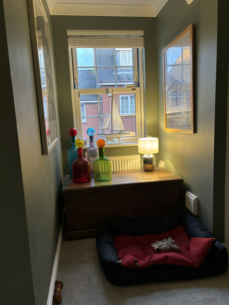 Massive mistake re window blinds