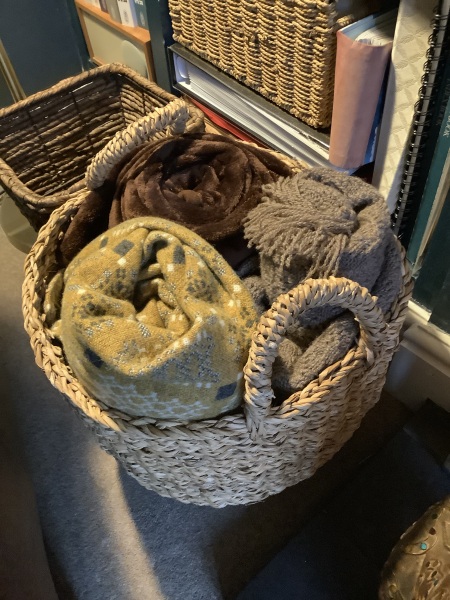 Toasties debating another sale 😬and waiting impatiently for all the new things