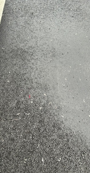 What is with all the worms?!