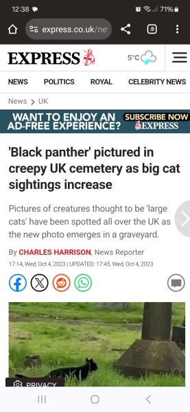 Anyone else believe in Bigfoot/Sasquatch?