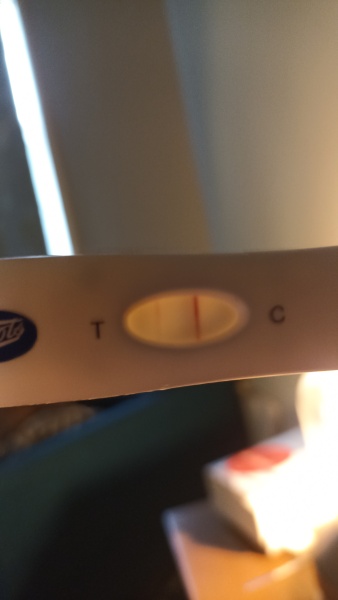 Can you see this line - bfp or evap?