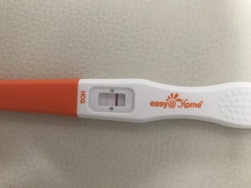 TTC February 2024 ✨