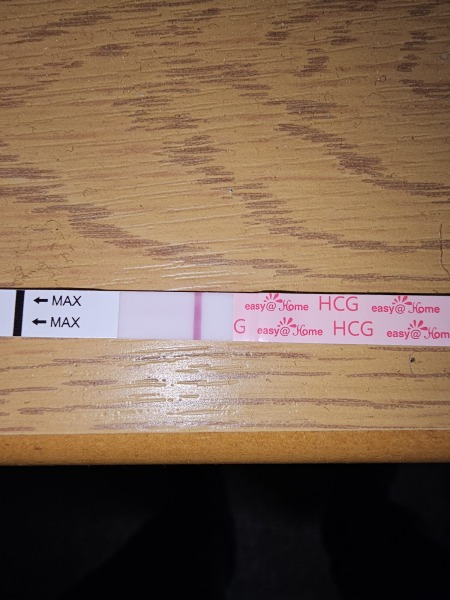 TTC February 2024 ✨