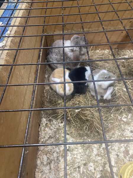 Come and tell me your dull and unexciting news 29: Calmly through the day