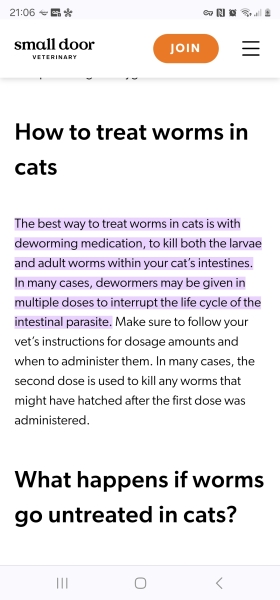 Advice needed for situation with poorly cat