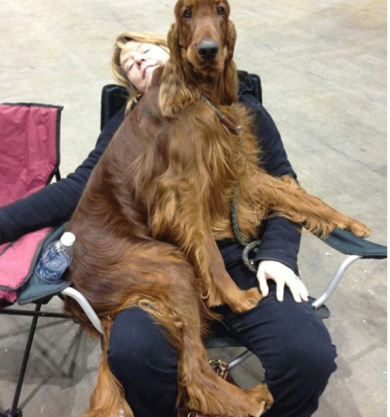 5 stone 26 weeks - Anyhow that works for you