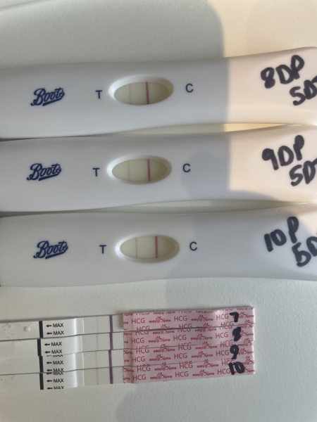 IVF / ICSI January 2024