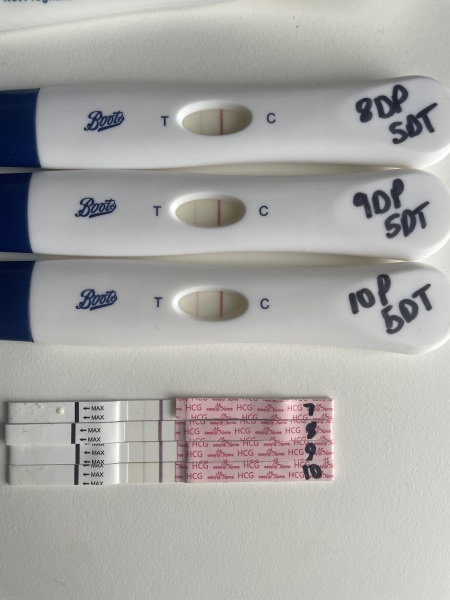 IVF / ICSI January 2024