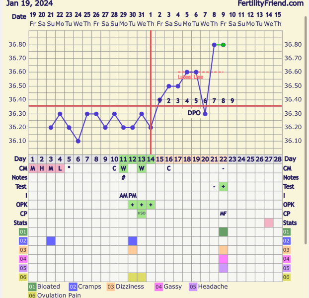 TTC February 2024 ✨