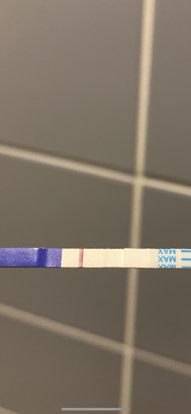 TTC February 2024 ✨