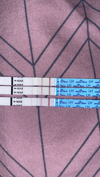 Anyone TTC Dec 2023…continued