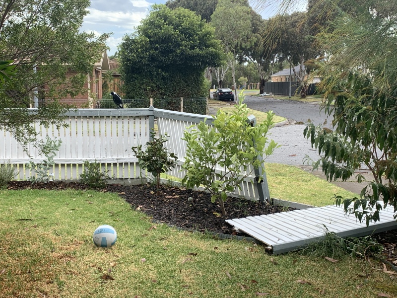 The Great Recovery! After cancer what next?