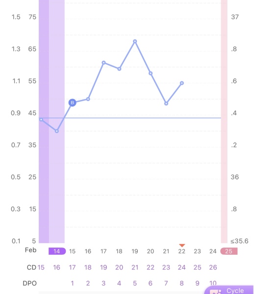 BBT dip and then gone on to have a BFP?