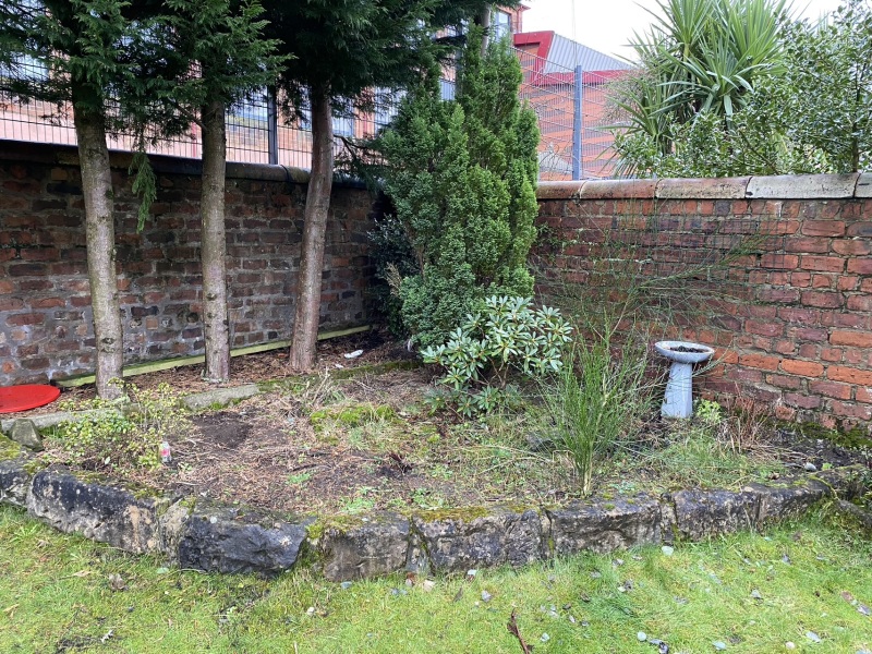 Shady corner help