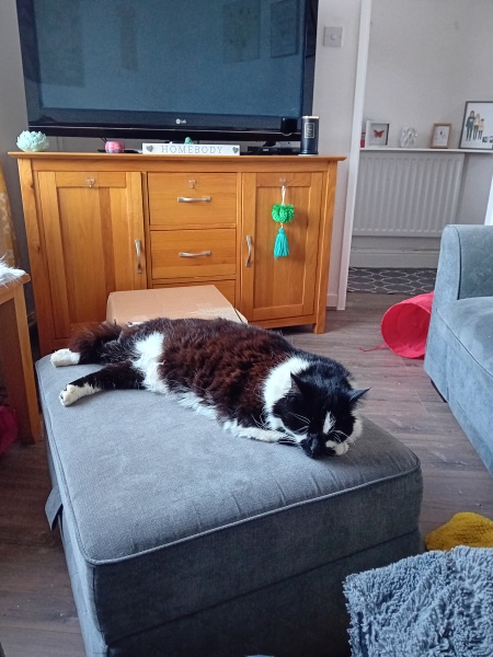 Is he fat?