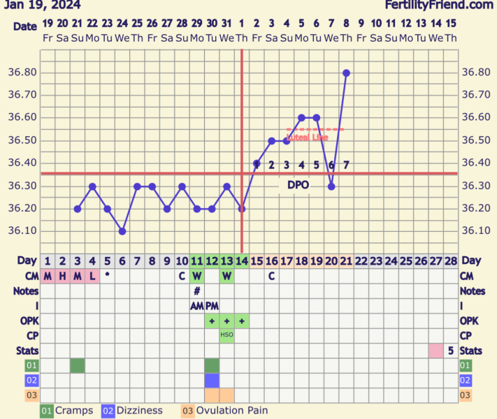 TTC February 2024 ✨